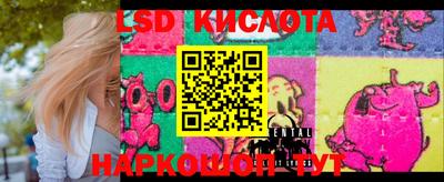 гашик Кимры
