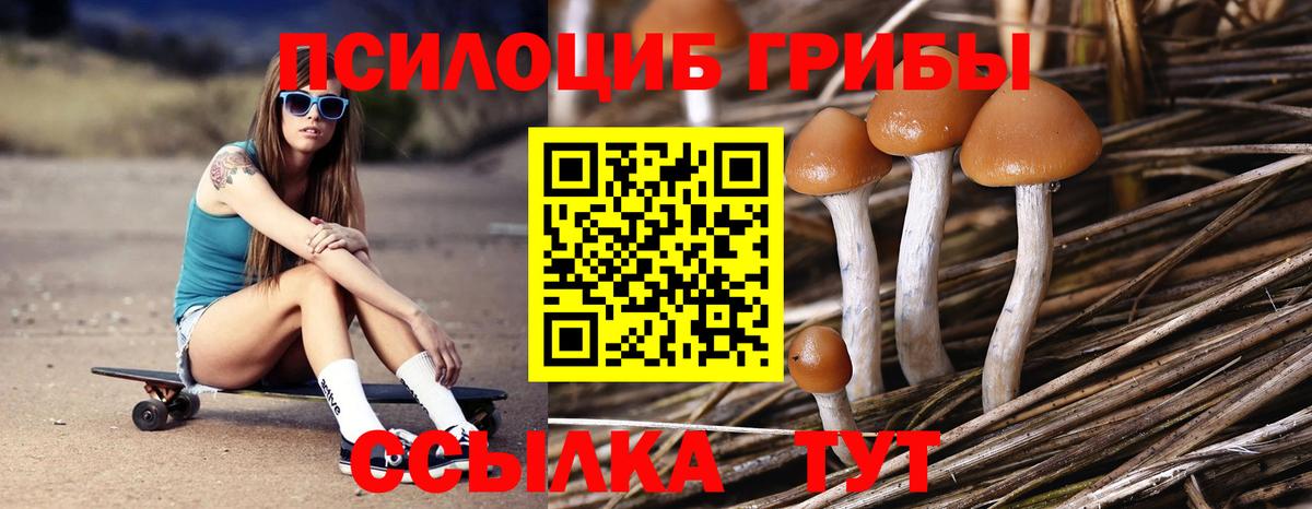 Галлюциногенные грибы Magic Shrooms  Галлюциногенные грибы Magic Shrooms  Кохма  Вход с VPN 